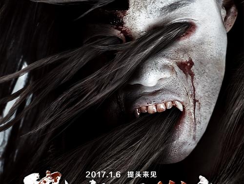 购买假阿尔巴尼亚护照